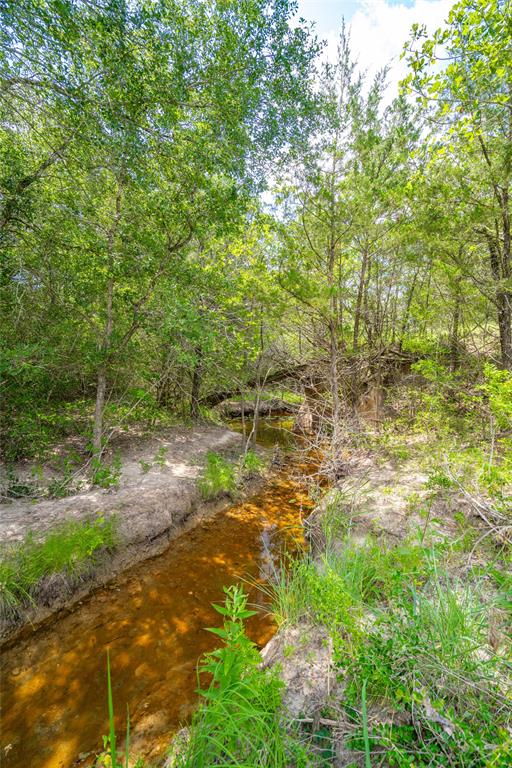 1993 Reiss Road, Muldoon, Texas image 11