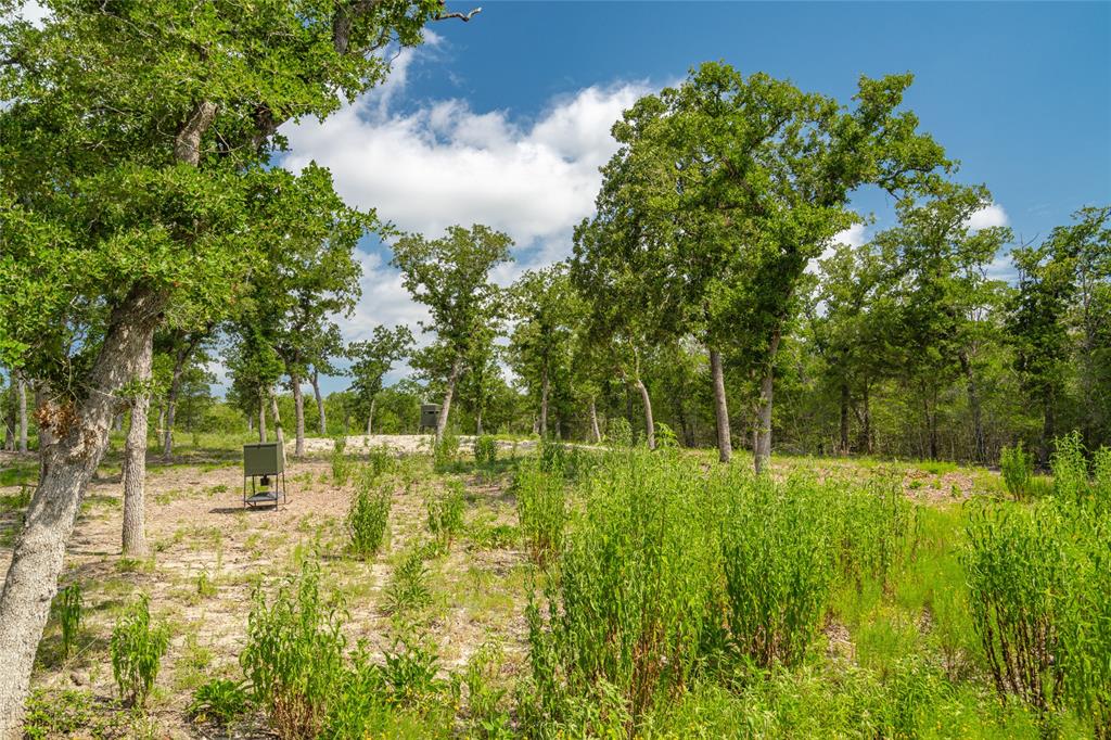 1993 Reiss Road, Muldoon, Texas image 25