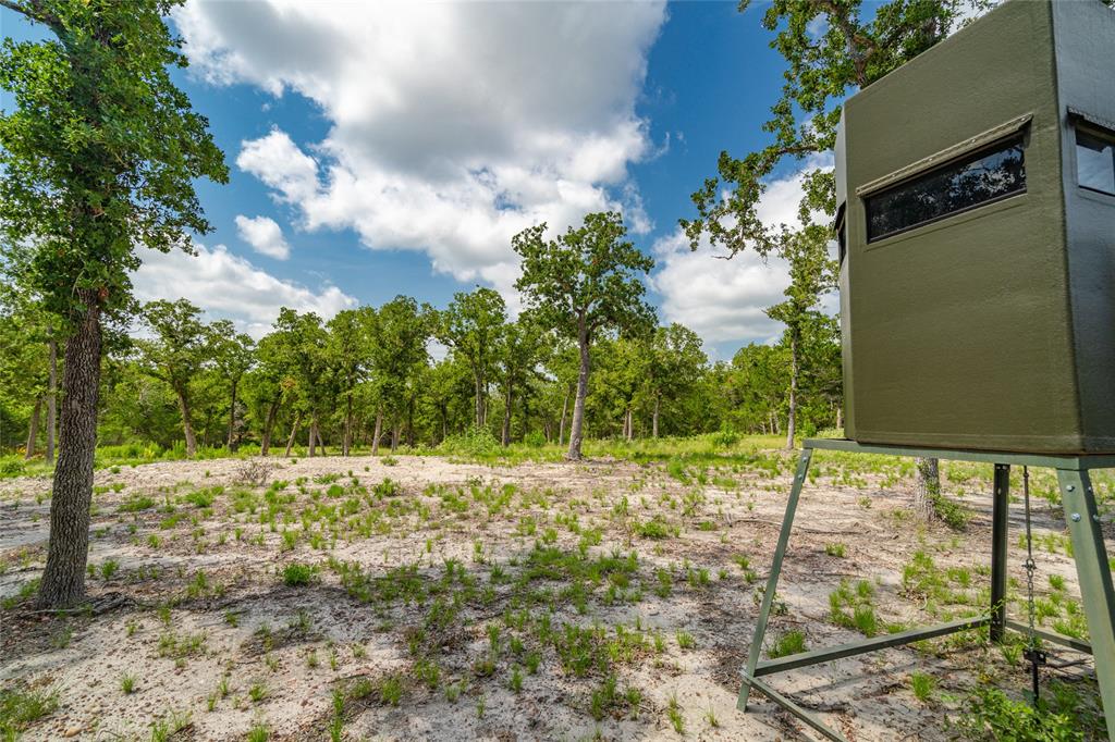 1993 Reiss Road, Muldoon, Texas image 17