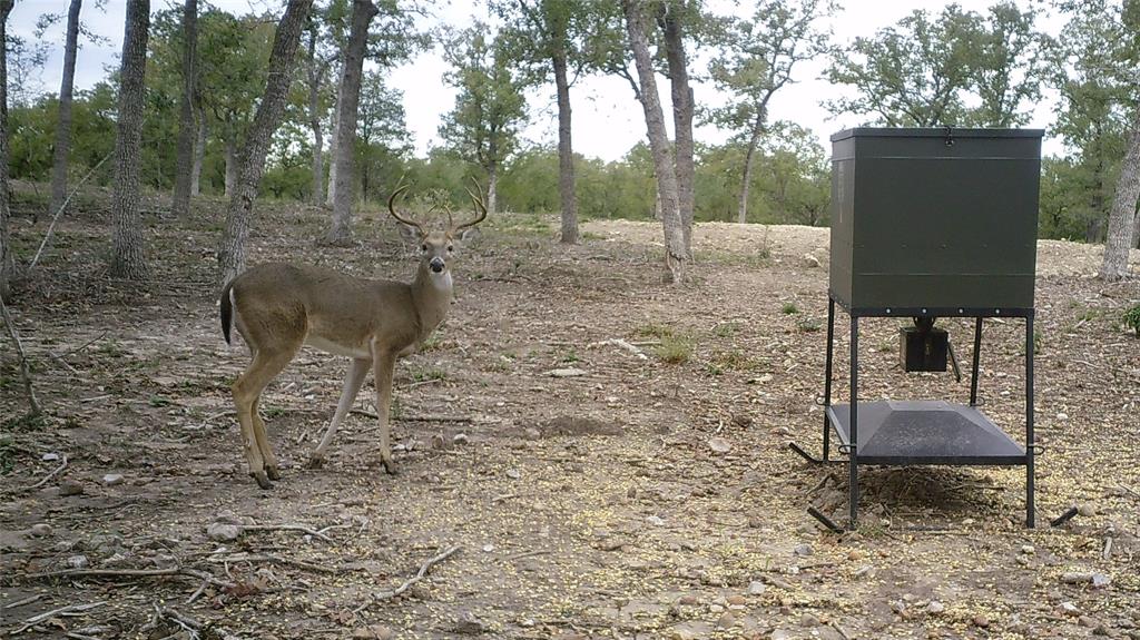 1993 Reiss Road, Muldoon, Texas image 3