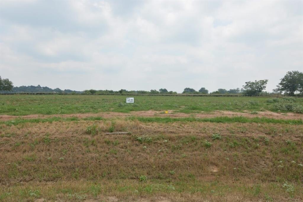 Lot 9 Water Vessel Court, Smithville, Texas image 1