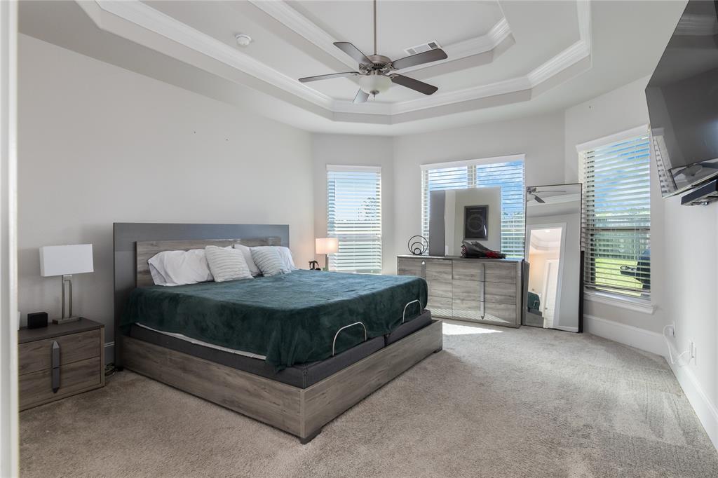 2736 Ahnya Lane, League City, Texas image 19