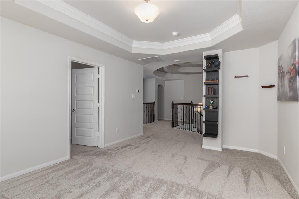 2736 Ahnya Lane, League City, Texas image 23