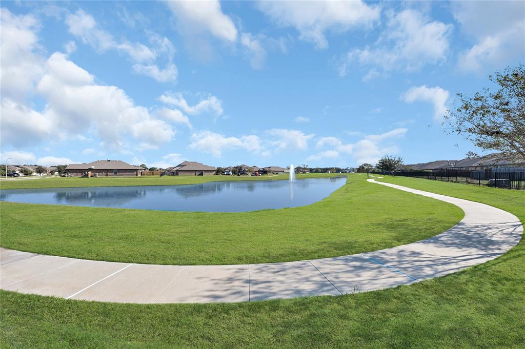 3910 Egyptian Goose Court, Baytown, Texas image 22