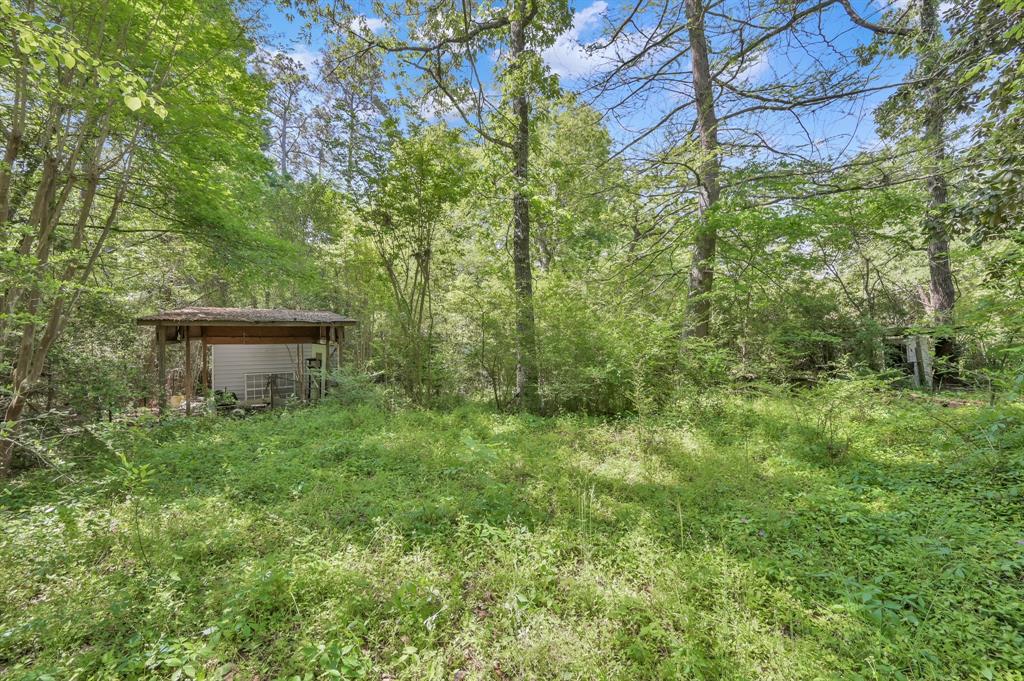 19145 Mount Pleasent Rd Rd, Montgomery, Texas image 12