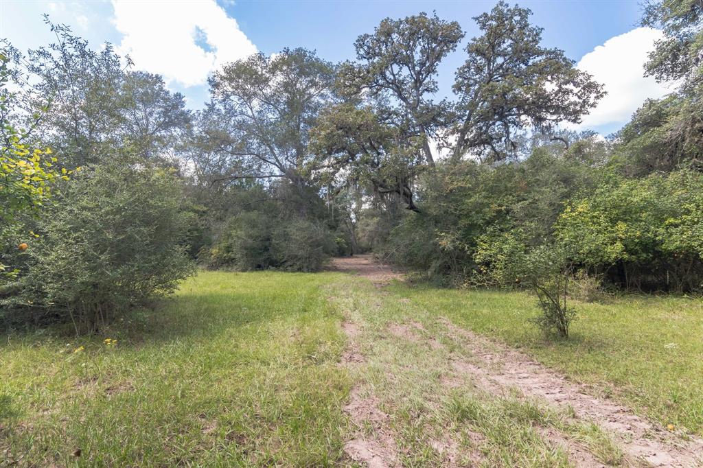 20091 Fm 530, Hallettsville, Texas image 3