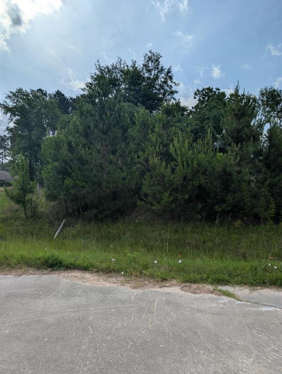 154 County Road 5008, Cleveland, Texas image 6
