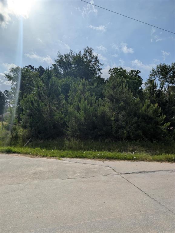 154 County Road 5008, Cleveland, Texas image 8