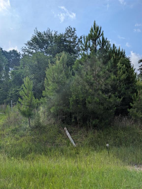 154 County Road 5008, Cleveland, Texas image 5