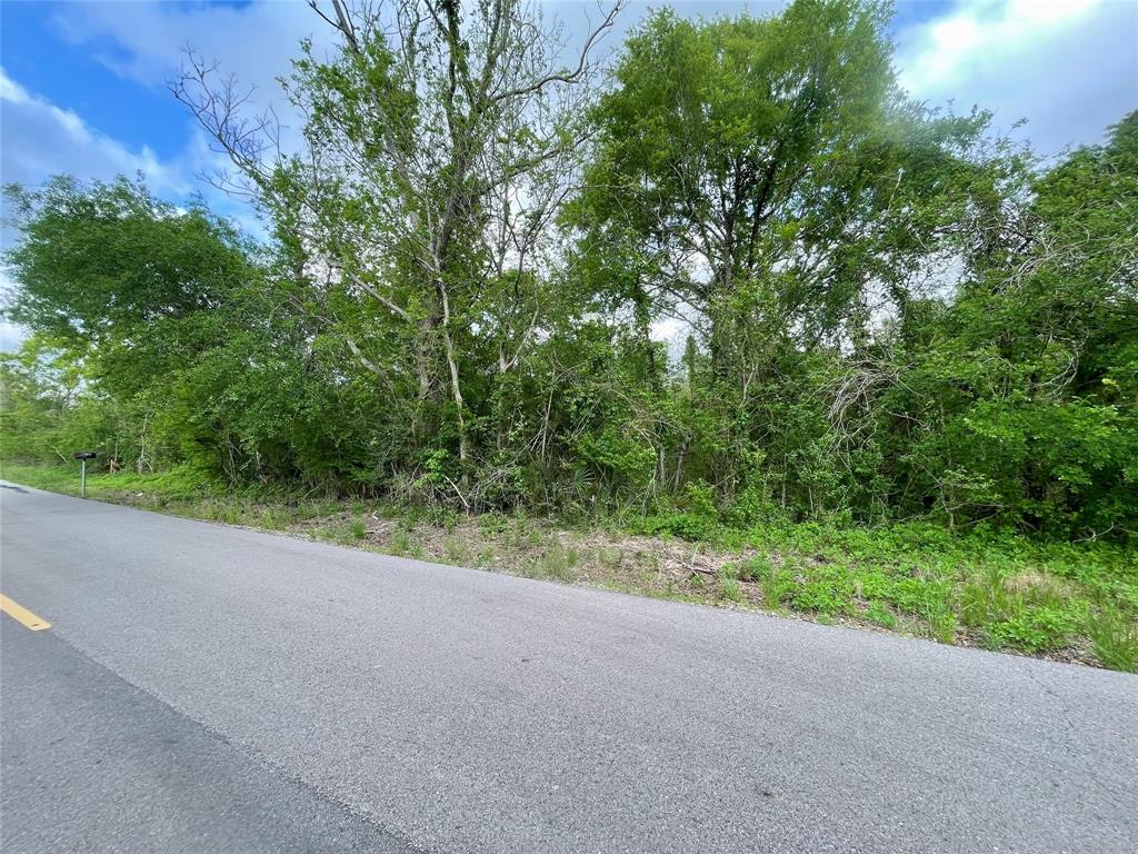 County Road 319, Brazoria, Texas image 3