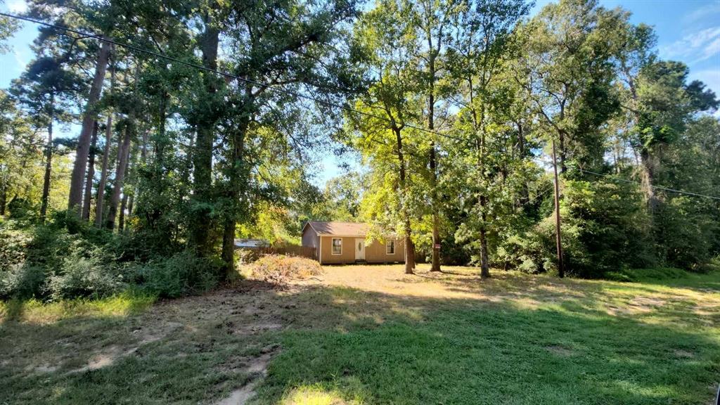 145 Holly Drive, Onalaska, Texas image 1