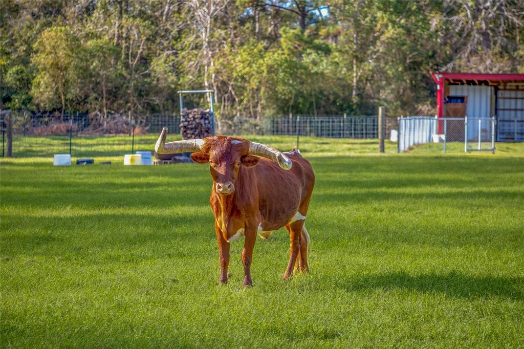 1275 County Road 2092, Hardin, Texas image 43