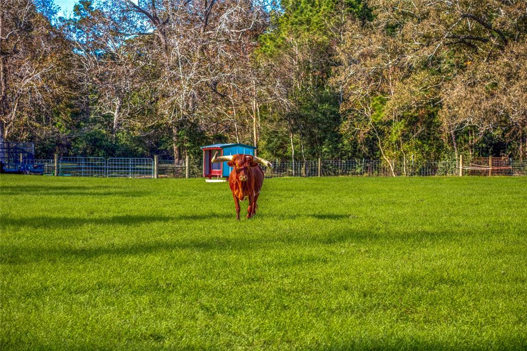 1275 County Road 2092, Hardin, Texas image 41