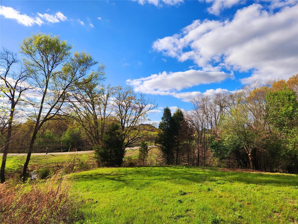 Lot 180 Rolling Hills Court, Athens, Texas image 5