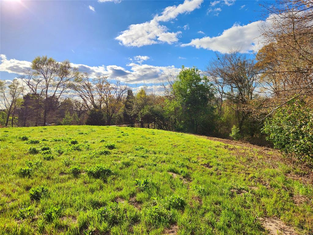 Lot 180 Rolling Hills Court, Athens, Texas image 34