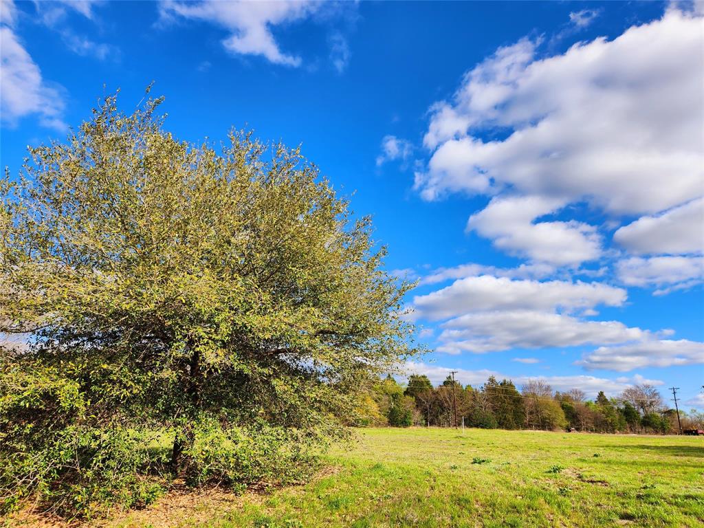 Lot 180 Rolling Hills Court, Athens, Texas image 10