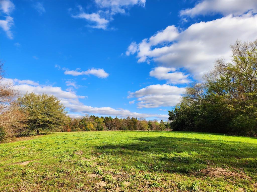 Lot 180 Rolling Hills Court, Athens, Texas image 6