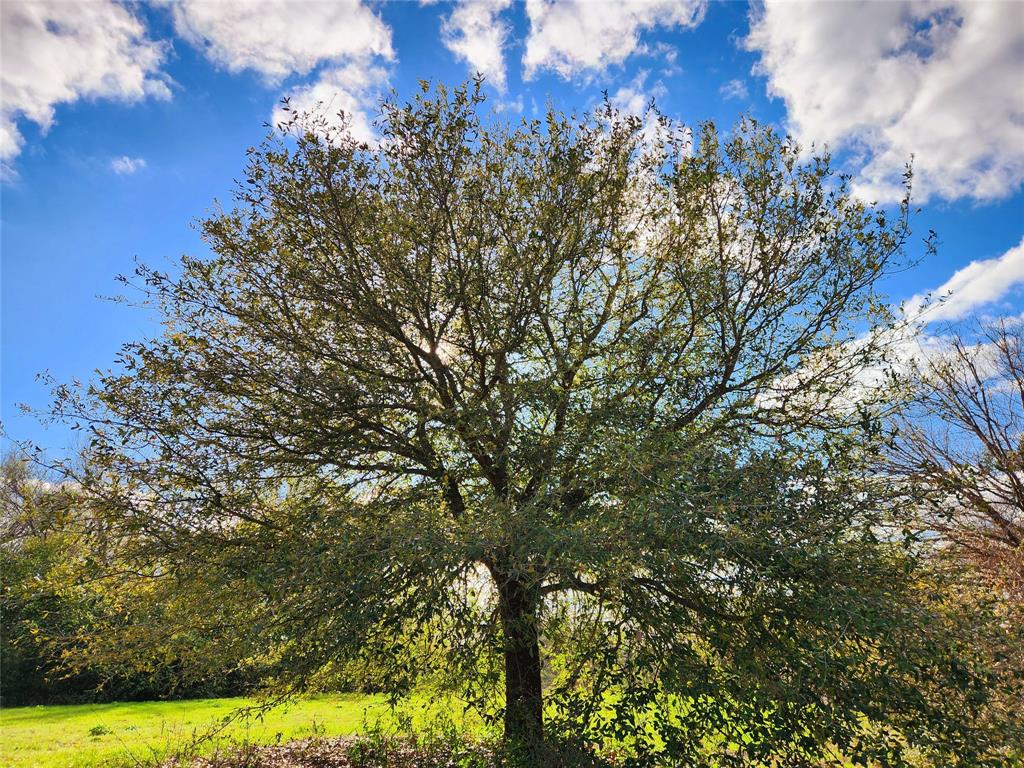 Lot 180 Rolling Hills Court, Athens, Texas image 7