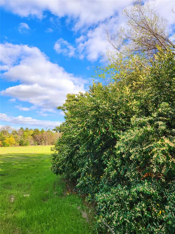 Lot 180 Rolling Hills Court, Athens, Texas image 32