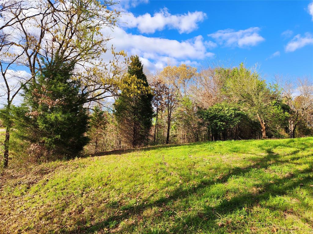 Lot 180 Rolling Hills Court, Athens, Texas image 31