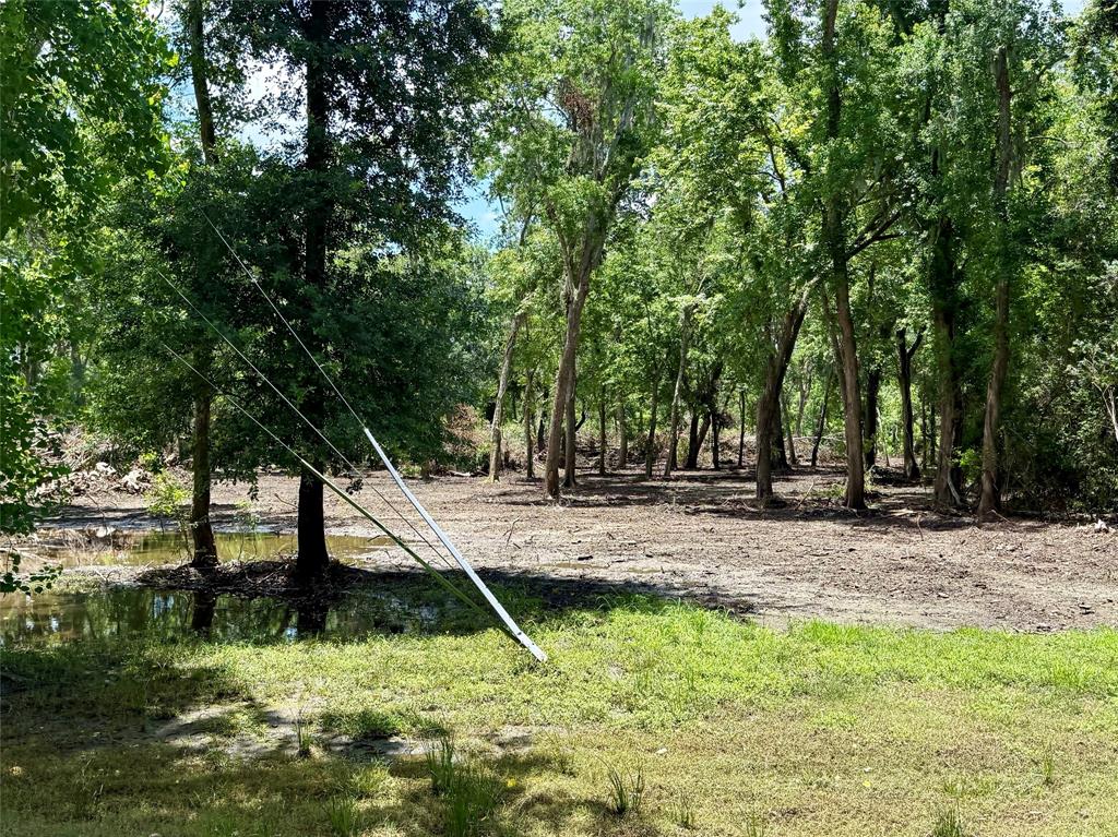 66 Eagons Road, Angleton, Texas image 3