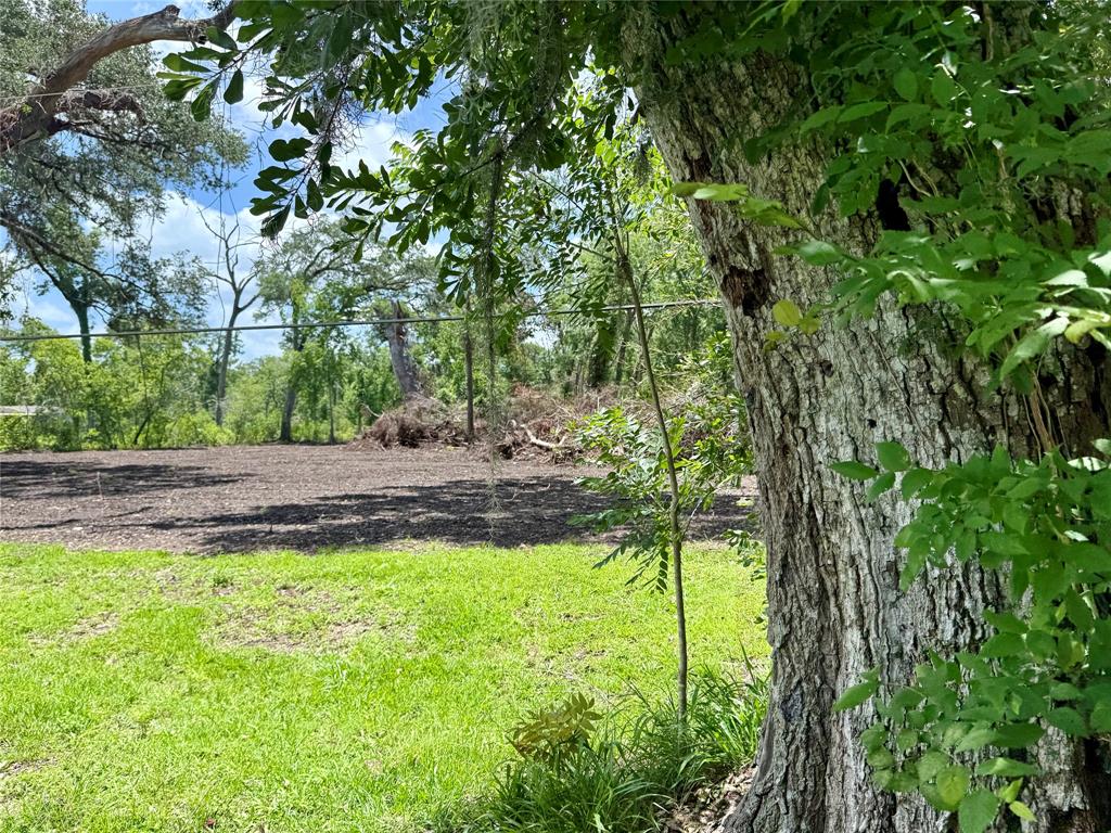 66 Eagons Road, Angleton, Texas image 4