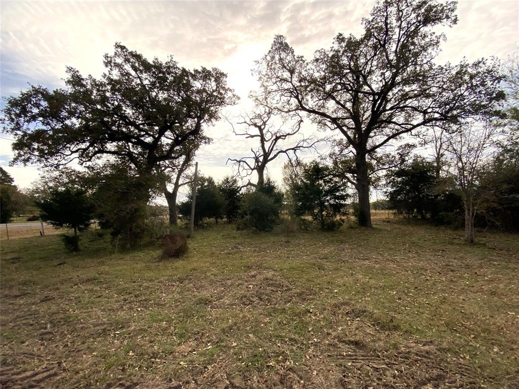 12.17 Acres Tx-90, Bedias, Texas image 36