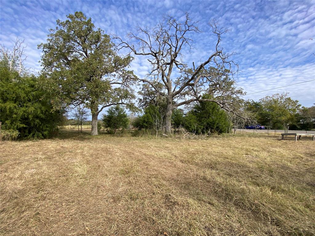 12.17 Acres Tx-90, Bedias, Texas image 1