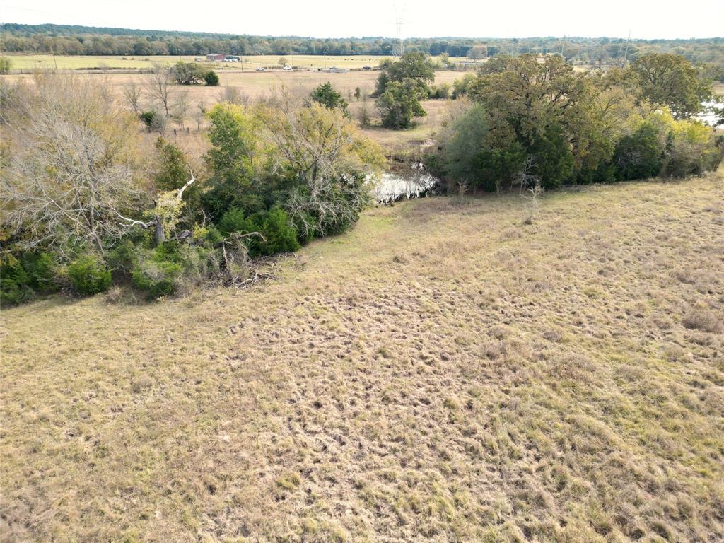 12.17 Acres Tx-90, Bedias, Texas image 16