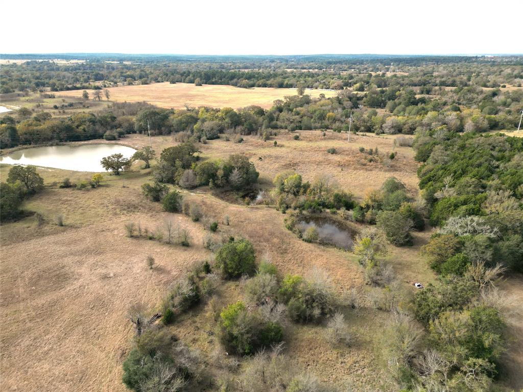 12.17 Acres Tx-90, Bedias, Texas image 8