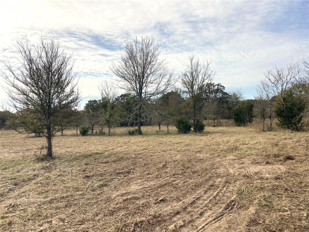 12.17 Acres Tx-90, Bedias, Texas image 44