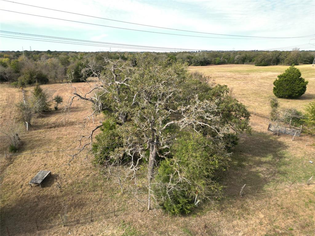 12.17 Acres Tx-90, Bedias, Texas image 28