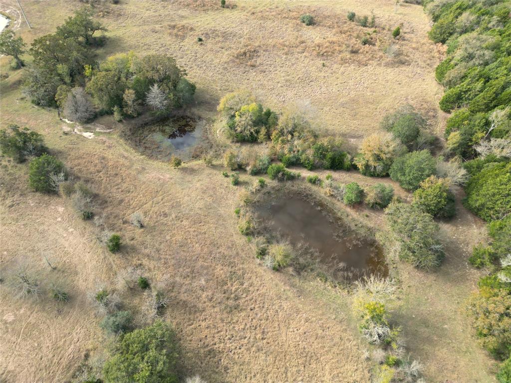 12.17 Acres Tx-90, Bedias, Texas image 10