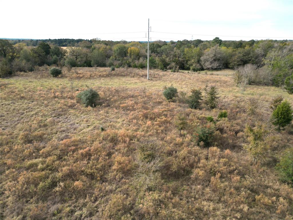 12.17 Acres Tx-90, Bedias, Texas image 17