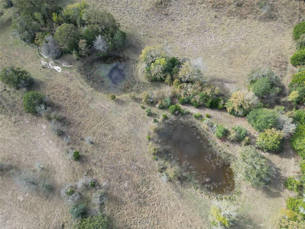 12.17 Acres Tx-90, Bedias, Texas image 6