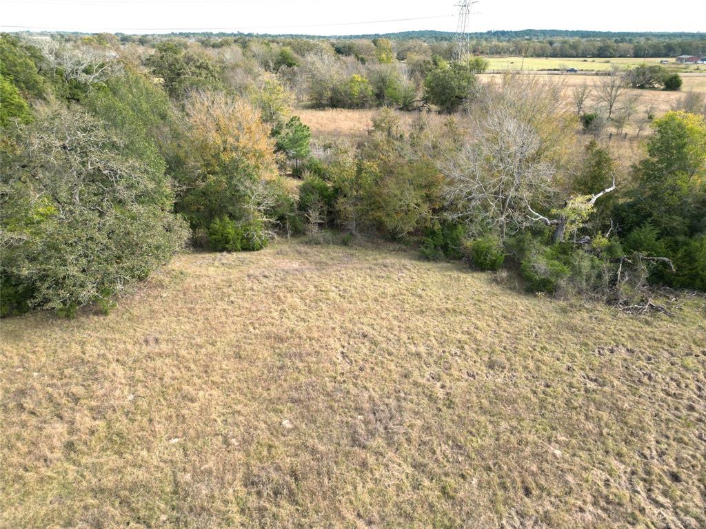 12.17 Acres Tx-90, Bedias, Texas image 15