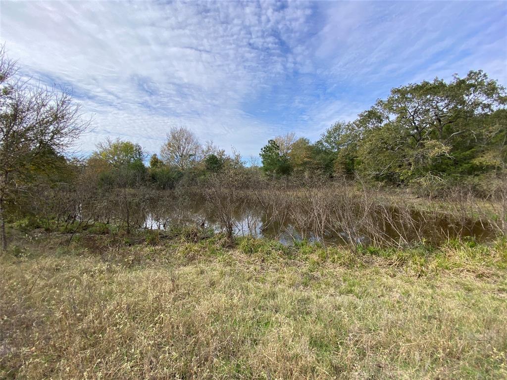 12.17 Acres Tx-90, Bedias, Texas image 46