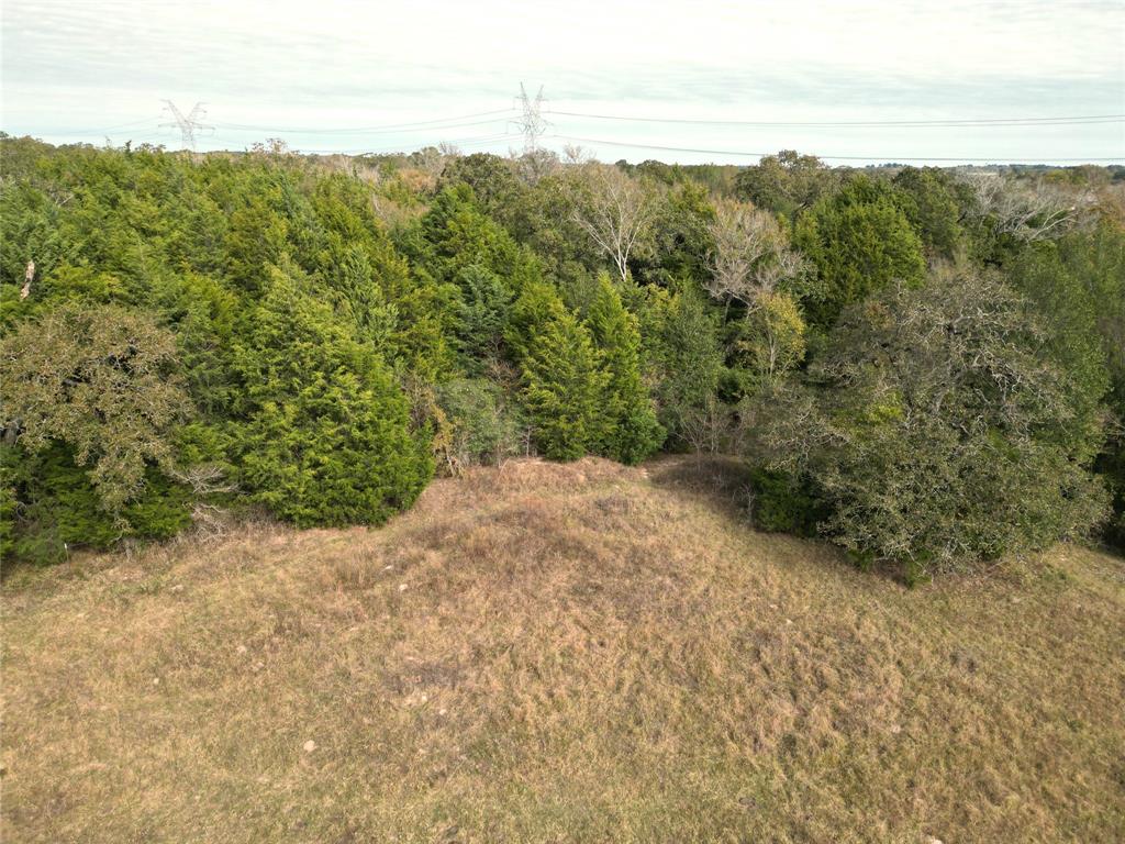 12.17 Acres Tx-90, Bedias, Texas image 18