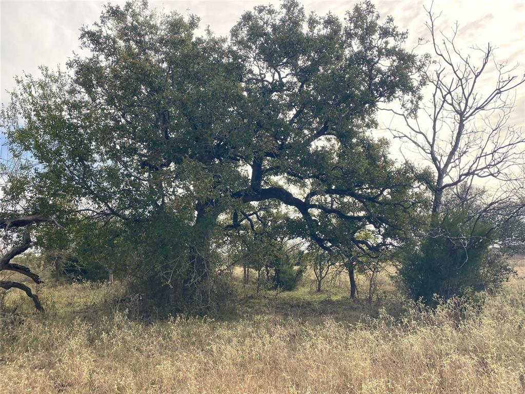 12.17 Acres Tx-90, Bedias, Texas image 45