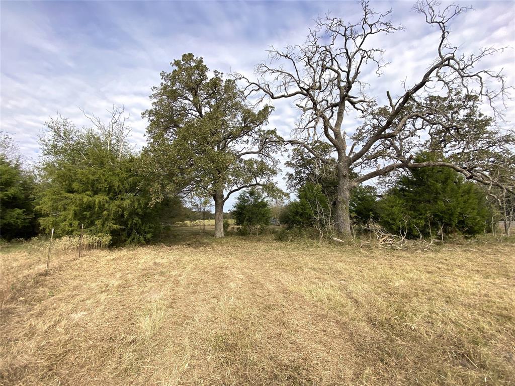 12.17 Acres Tx-90, Bedias, Texas image 38