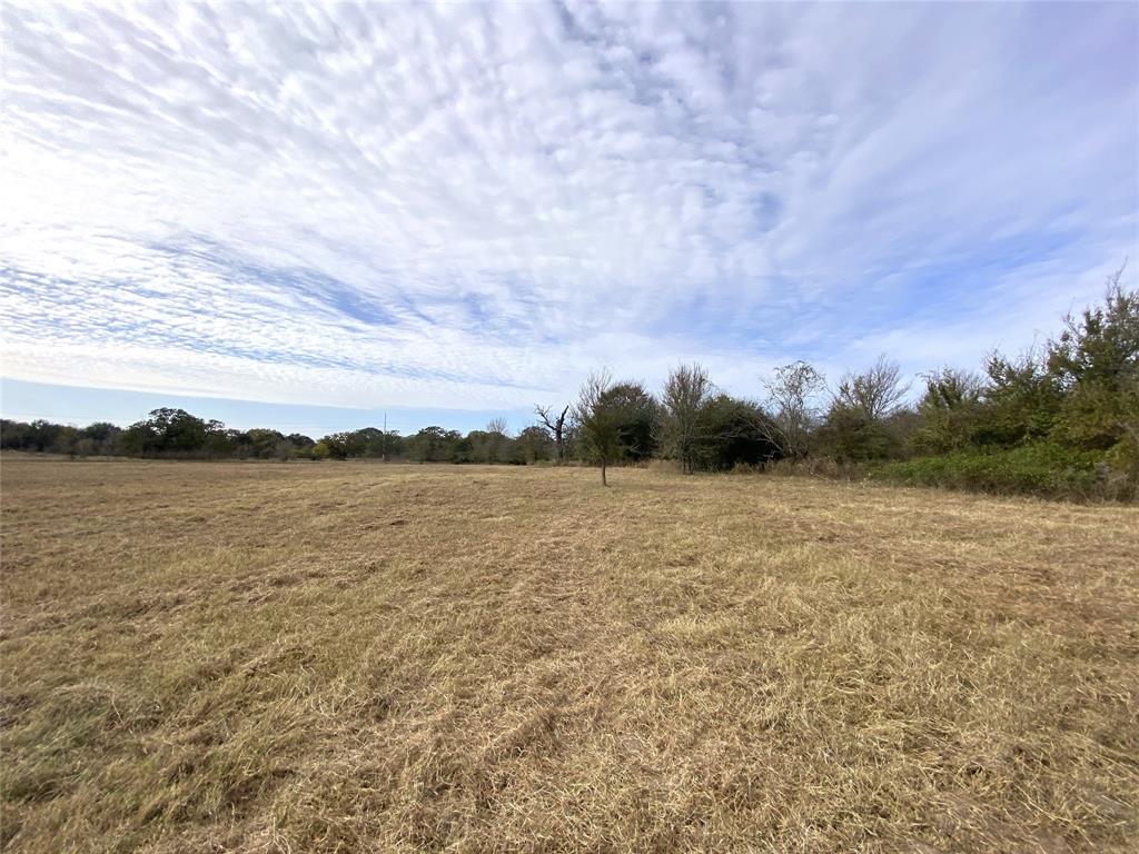 12.17 Acres Tx-90, Bedias, Texas image 40