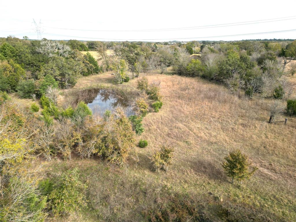 12.17 Acres Tx-90, Bedias, Texas image 20