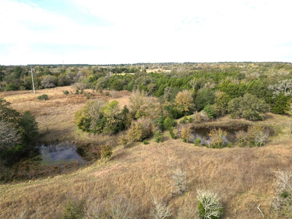 12.17 Acres Tx-90, Bedias, Texas image 23