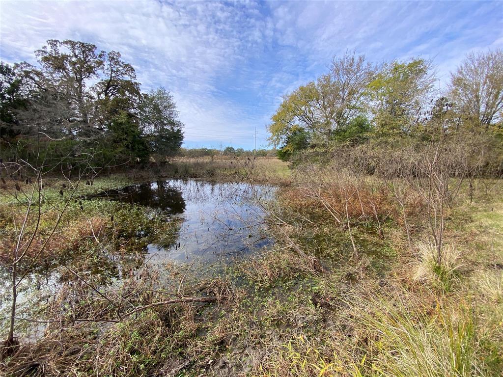 12.17 Acres Tx-90, Bedias, Texas image 5