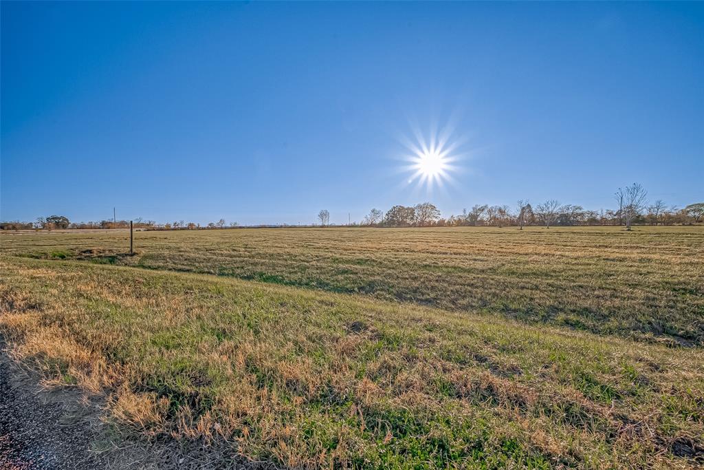 17202 Dewberry Lane, Rosharon, Texas image 22