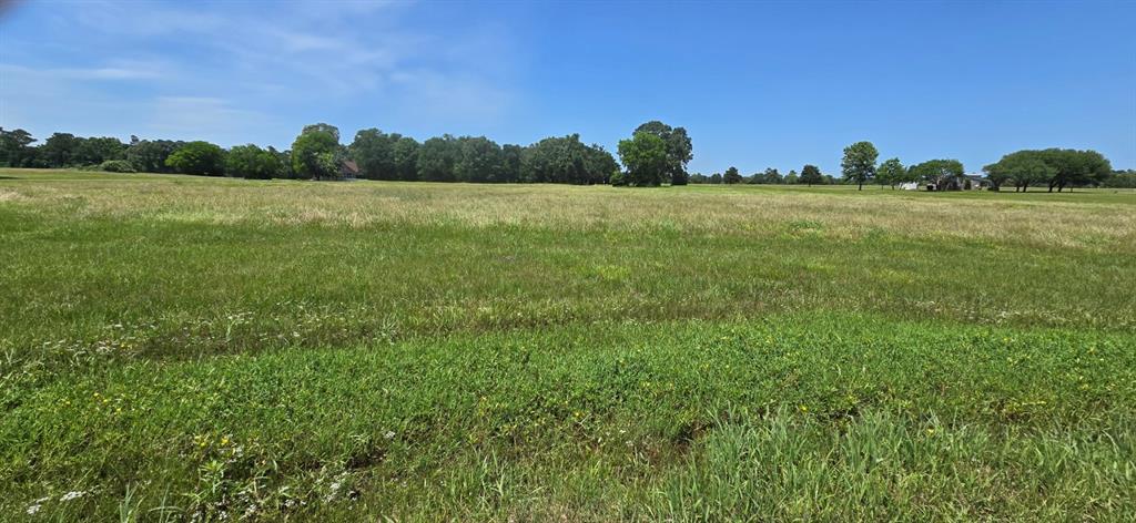 TBD Montgomery Way, Trinity, Texas image 3