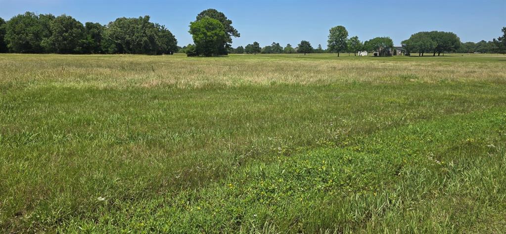 TBD Montgomery Way, Trinity, Texas image 1