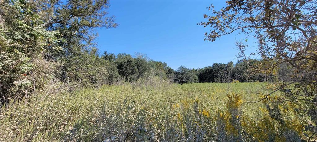 00 2540, Van Vleck, Texas image 6