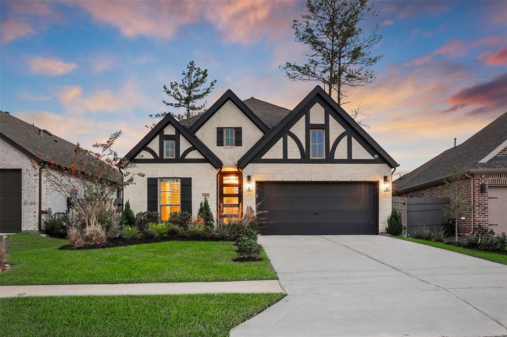 15810 Bird Of Paradise Drive, Conroe, Texas image 1