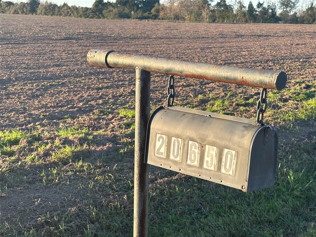 Imhof Road, Waller, Texas image 4